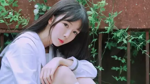 本田杀马特工程师