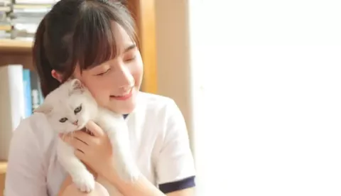 山东发现钻石血